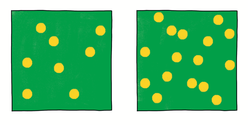 Experiment 3